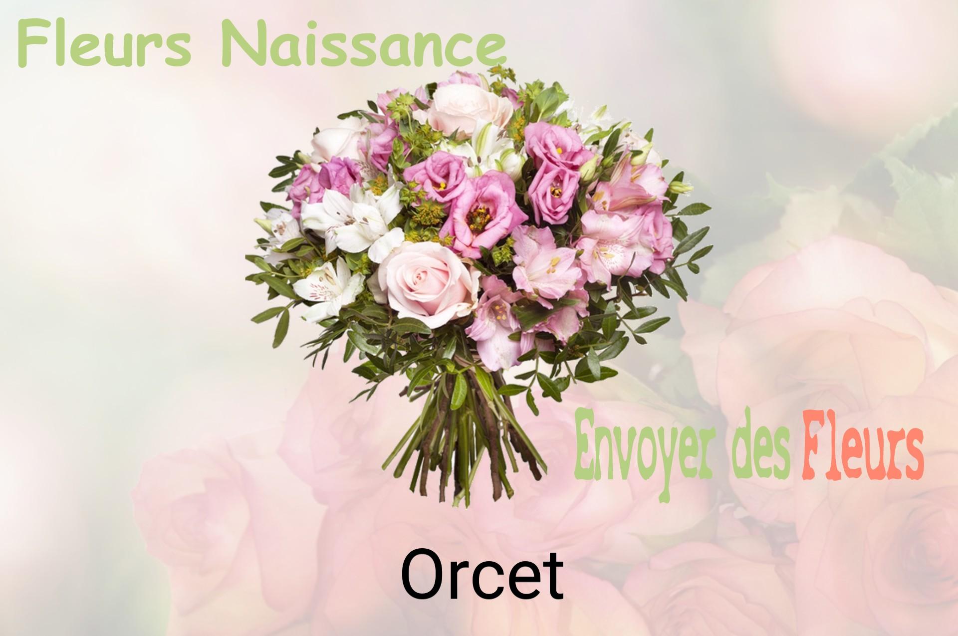 Bouquet de fleurs de naissance livré à Orcet